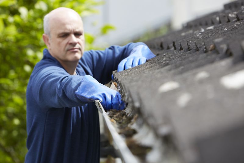 Gutter and Drain Maintenance